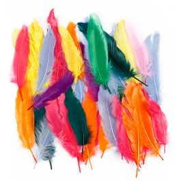 Feathers, assorted colours, L: 12-15 cm, 350 pc/ 1 pack [HOB-51673]