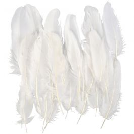 Feathers, white, size 10-18 , 70 pc/ 1 bag [HOB-51674]
