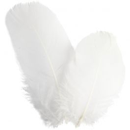 Goose feathers, round, white, L: 5-8 cm, 3 g/ 1 pack [HOB-51816]