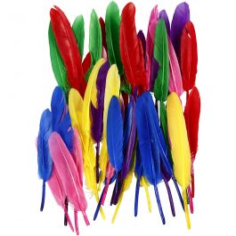 Feathers, assorted colours, L: 13 cm, 48 pc/ 1 pack [HOB-51817]