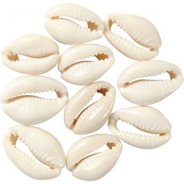 Shell, natural, L: 20 mm, 12 pc/ 1 pack [HOB-61016]