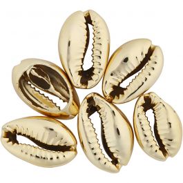 Shell, gold-plated, L: 20 mm, 6 pc/ 1 pack [HOB-61017]