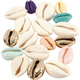 Shell, assorted colours, L: 20 mm, 75 pc/ 1 pack [HOB-61019]