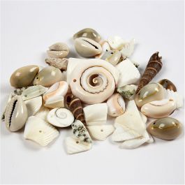 Beach Shells, size 9-40 mm, hole size 1-1,5 mm, 120 g/ 1 pack [HOB-631881]