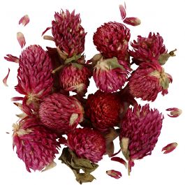 Dried flowers, purple, Red clover, L: 1,5-2,5 cm, D 1 - 1,5 cm, 15 g, 1 pack [HOB-709502]