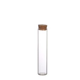 Glass Tube with cork Ø3cm and 15cm tall (set of 6 pcs) [IFS-29143]