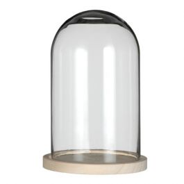 Glass Dome with Wooden Base Ø17cm and 25 cm tall (1 pc) [IFS-29425]