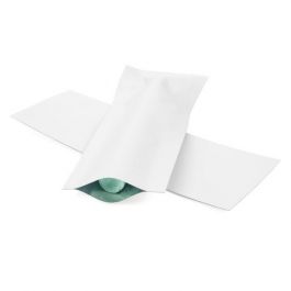 Plastic Bags White 3.8x10.2cm Tamper-proof Heat sealable (100 pieces) [CRB4W]