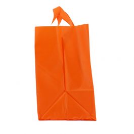 Snackbags 21+15x19cm Orange (250 pcs) [FP-DQL016]