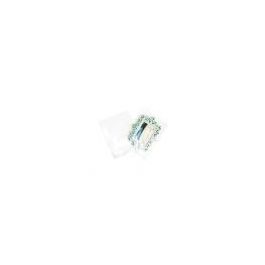 Plastic Bags 26.5x34cm Transparent (100 pieces) [B10X13NF]