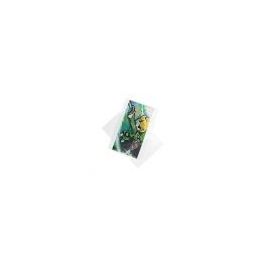 Plastic Bags 29x44cm Transparent (100 pieces) [B1117NF]