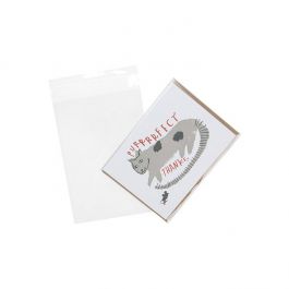 Plastic Bags 12.5x18cm Transparent Peel and Seal (100 pieces) [B47]