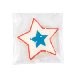 Frosted Plastic Bags 12,7x12,7 cm with Dots Peal and Seal (100 pieces) [B55FD]
