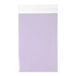 Plastic Bags 15x22cm Transparent Peel and Seal (100 pieces) [B59]