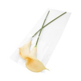 Plastic Bags 21.9x59.7cm Transparent Peel and Seal (100 pieces) [B823]