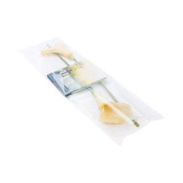 Plastic Bags 21.4x69.2cm Transparent Peel and Seal (100 pieces) [B827]