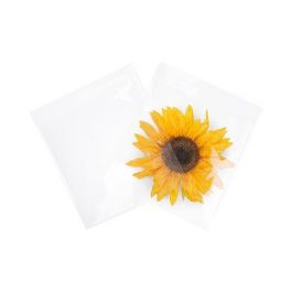 Plastic Bags 22.1x21.7cm Transparent Peel and Seal (100 pieces) [B8X8M]
