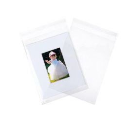 Plastic Bags 22x30cm Transparent Peel and Seal (100 pieces) [BA4]