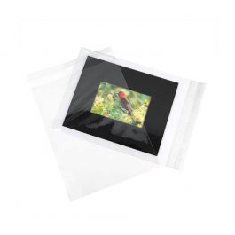 Plastic Bags 24x31.2cm Transparent Peel and Seal (100 pieces) [B9]