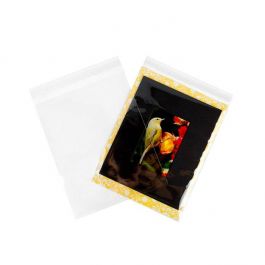 Plastic Bags 22.7x28.6cm Transparent Peel and Seal(250 pieces) [VL811]