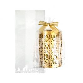 Plastic Bags 15.2x10.2x30.5cm with side gusset (100 pieces) [GB18]