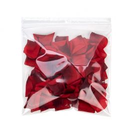 Grip Seal Bags with Hang and Vent-hole 23x23cm Crystal Clear PP 50 micron (100 pieces) [ZR99V]