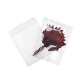 Grip Seal Bags with Hang hole 20.5x25.5cm Crystal Clear PP 75 micron (100 pieces) [Z3R810]