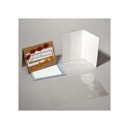 Plastic Bags for Open Cards 21.1x27.8cm (100 pieces) [CJA8]