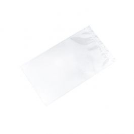 Plastic Bags 7.6x12.7cm Clear Polypropylene (100 pieces) [FP1H35]
