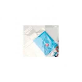 Headerbags 7x8.9cm with Protective Closure (100 pieces) [HB23PC]