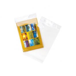 Headerbags 11.7x16.2cm Reclosable and Crystal Clear (100 pieces) [HB4X6XL]