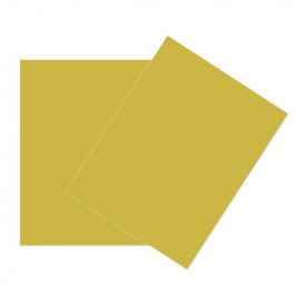 Cards Gold/Green 21.6x27.9cm (50 pieces) [PC411]