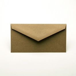 Envelopes Brown 19x9.8cm (50 pieces) [EB70]