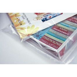 Plastic Bags 7.6x30.5cm LDPE 40 micron (100 pieces) [PE1H312]