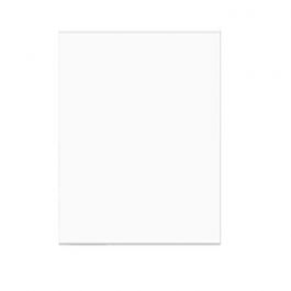 Plastic Bags 51.9x62cm Transparent (100 pieces) [B20NF]
