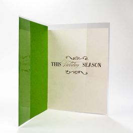 Plastic Bags for Open Cards 15.1x22.5cm (100 pieces) [CJA2]