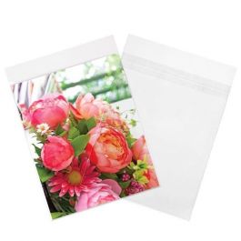 Plastic Bags 21.4x22.7cm Transparent Peel and Seal (100 pieces) [B108SPC]