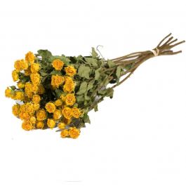 Dried Flowers Roses Spray Natural Yellow (1 Bundle) [RU-01593.000.9]