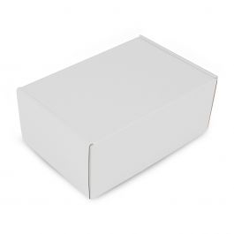 Mailboxes 22,5x15x9cm White (50 pcs) [FP-VPD103]