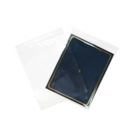 Grip Seal Bags with Vent-hole 25.5x33cm Crystal Clear PP 50 micron (100 pieces) [ZC1013V]